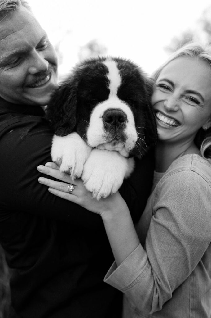 engagement photoshoot with dog, utah wedding photographer, wildflower photos